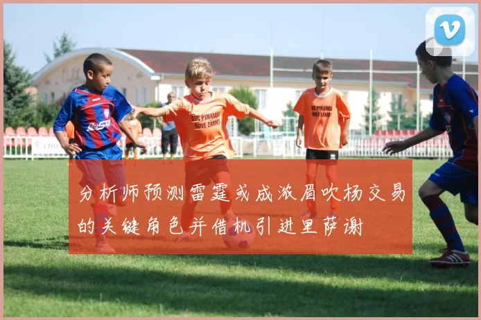 分析师预测雷霆或成浓眉吹杨交易的关键角色并借机引进里萨谢