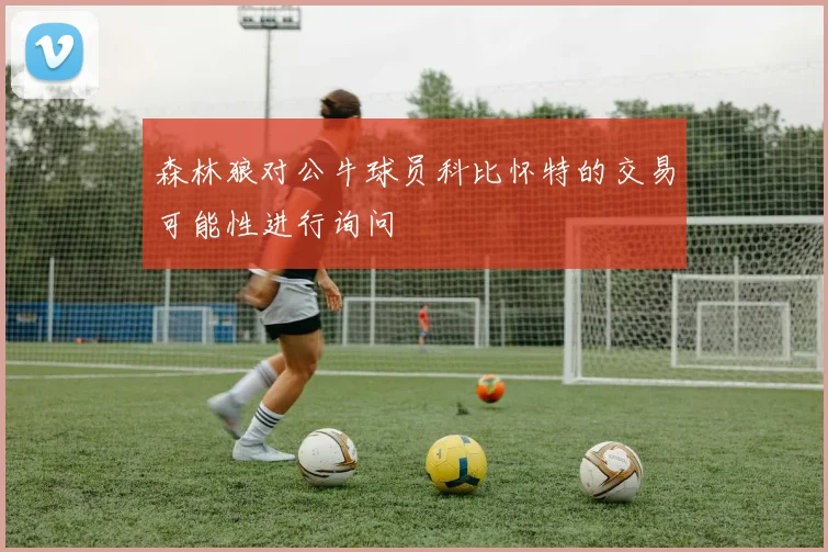 森林狼对公牛球员科比怀特的交易可能性进行询问