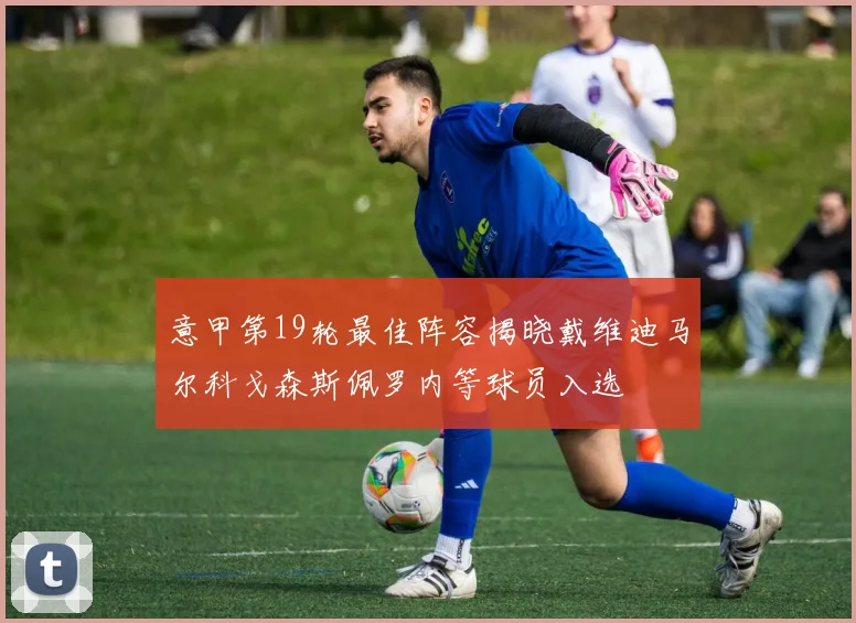 意甲第19轮最佳阵容揭晓戴维迪马尔科戈森斯佩罗内等球员入选