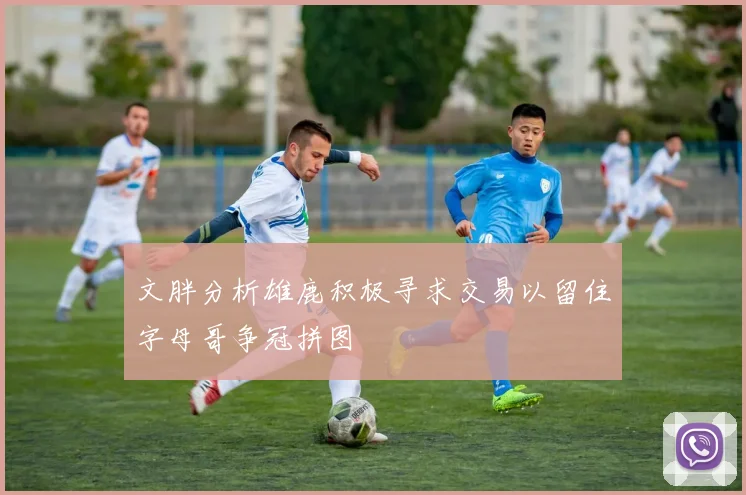 文胖分析雄鹿积极寻求交易以留住字母哥争冠拼图