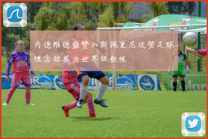 内德维德盛赞加斯佩里尼攻势足球理念称其为世界级教练